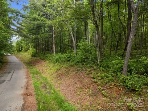 287 Red Fox Ln, Flat Rock, NC 28731 photo 14