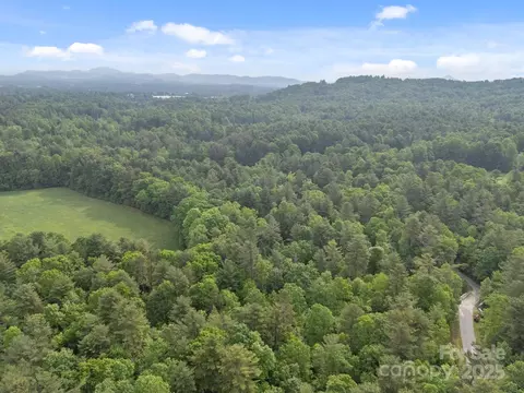 287 Red Fox Ln, Flat Rock, NC 28731 photo 9