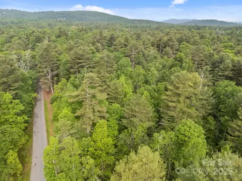 287 Red Fox Ln, Flat Rock, NC 28731 photo 8