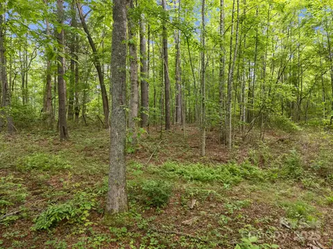 287 Red Fox Ln, Flat Rock, NC 28731 photo 18