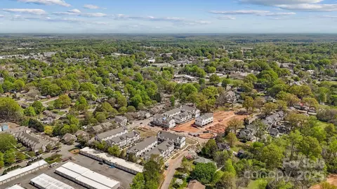 316 Catawba Ave, Davidson, NC 28036 photo 34