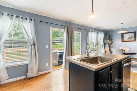 49 Perseverance Dr, Canton, NC 28716 photo 10