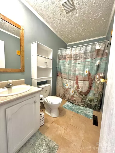 49 Perseverance Dr, Canton, NC 28716 photo 22
