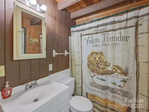 134 Fish Pond Ln, Murphy, NC 28906 photo 25