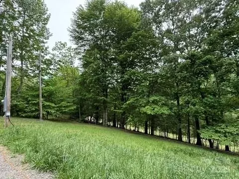25 Mace Rd, Marshall, NC 28753