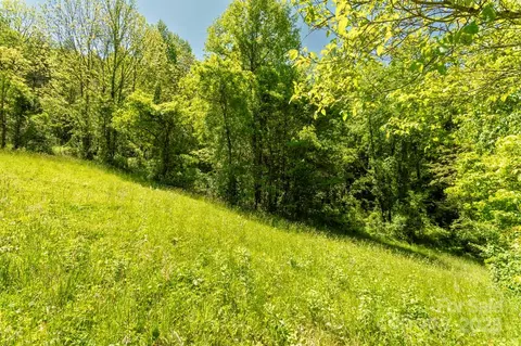 Locust Creek Road, Sylva, NC 28779 photo 9
