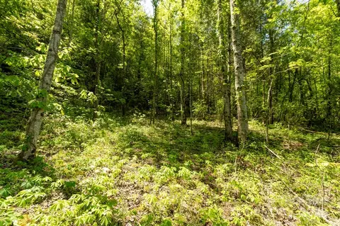 Locust Creek Road, Sylva, NC 28779 photo 3