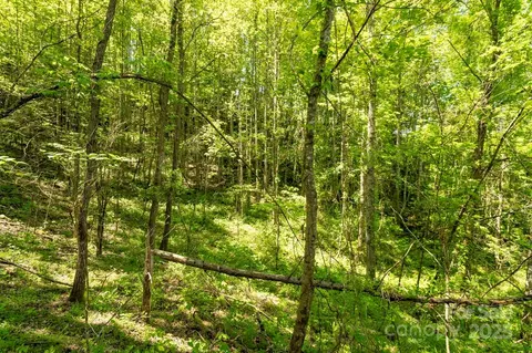 Locust Creek Road, Sylva, NC 28779 photo 10