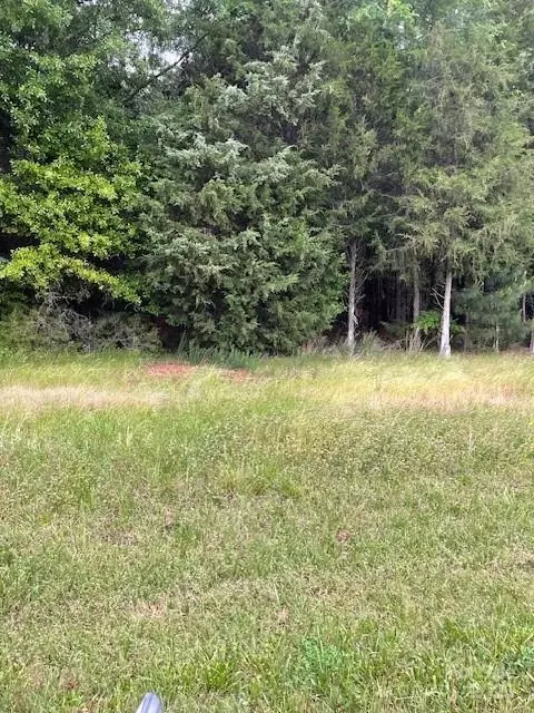 Woodglenn Road, Catawba, SC 29704