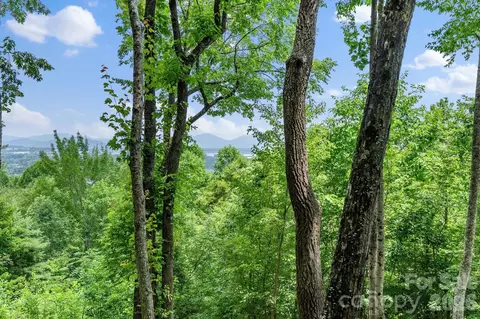 Other - 120 Split Rock Trl, Arden, NC 28704 photo 4 of 13