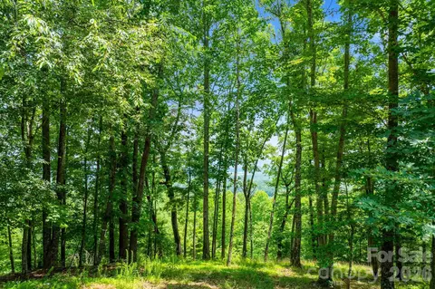 Other - 120 Split Rock Trl, Arden, NC 28704 photo 6 of 13