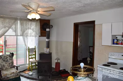 Other - 118 Fourth C St, Marion, NC 28752 photo 4 of 14
