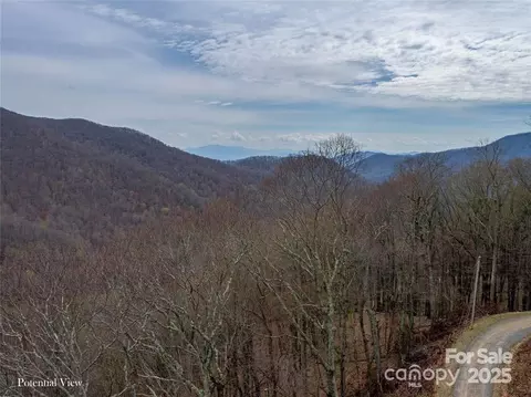00 Chestnut 100 Ln #100, Mars Hill, NC 28754