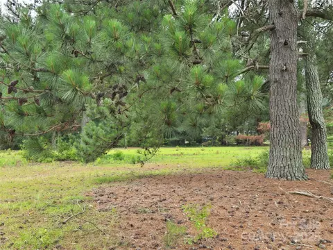 Other - 116 E Graves St, Candor, NC 27229 photo 12 of 12