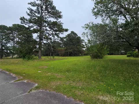 Other - 116 E Graves St, Candor, NC 27229 photo 10 of 12
