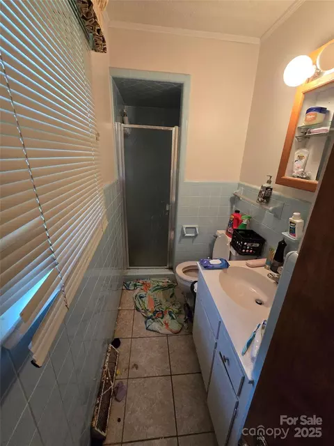 Bath - 116 E Graves St, Candor, NC 27229 photo 3 of 4