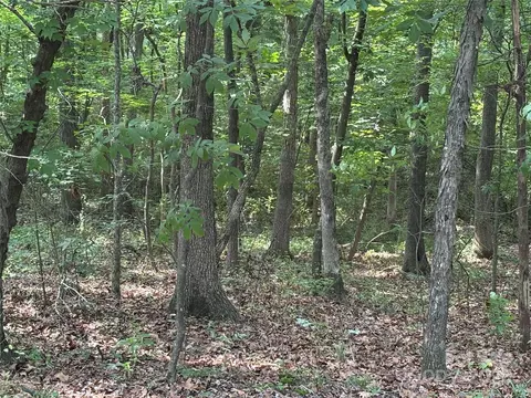 0 Wolf Pond Rd, Monroe, NC 28112 photo 12