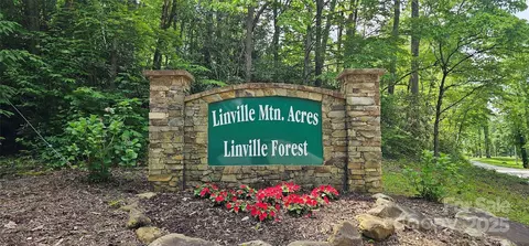 54 Ridge Cove Drive #54 & 55, Marion, NC 28752
