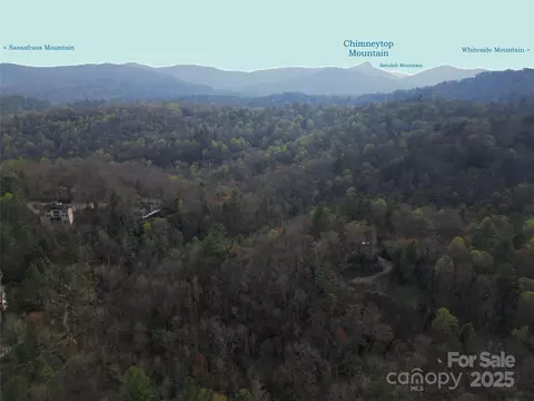 Black Oak 96 Drive #96, Sapphire, NC 28774