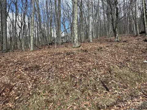 344 Tearshirt Ln, Mars Hill, NC 28754