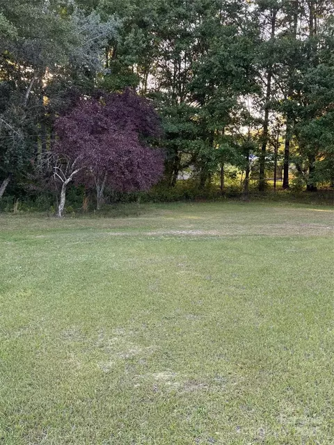 412 Evans Mill Rd, Pageland, SC 29728 photo 3