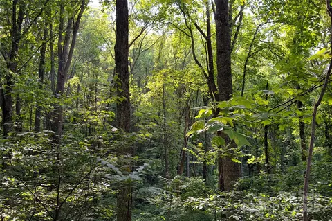 Smith Knolls Road, Fairview, NC 28730 photo 11