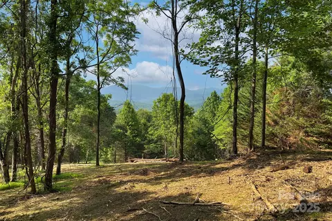 Smith Knolls Road, Fairview, NC 28730 photo 14