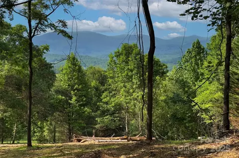 Smith Knolls Road, Fairview, NC 28730 photo 2