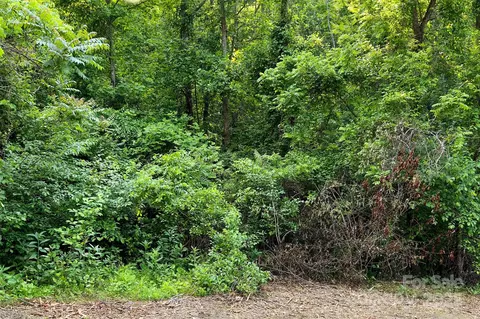 Smith Knolls Road, Fairview, NC 28730 photo 16