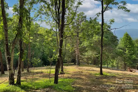 Smith Knolls Road, Fairview, NC 28730 photo 15