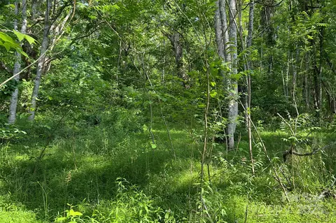 Smith Knolls Road, Fairview, NC 28730 photo 13