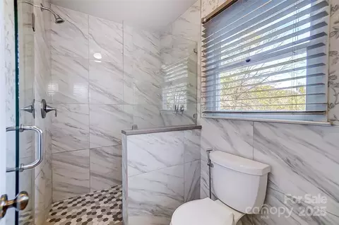 29049 Snapper Pt, Tega Cay, SC 29708 photo 27