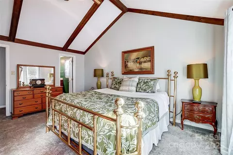 29049 Snapper Pt, Tega Cay, SC 29708 photo 25
