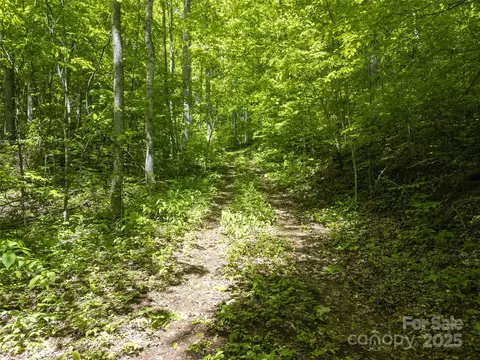 Top Drop Lane, Sylva, NC 28779 photo 12