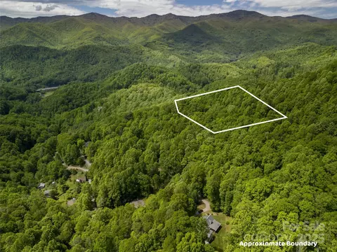 Top Drop Lane, Sylva, NC 28779