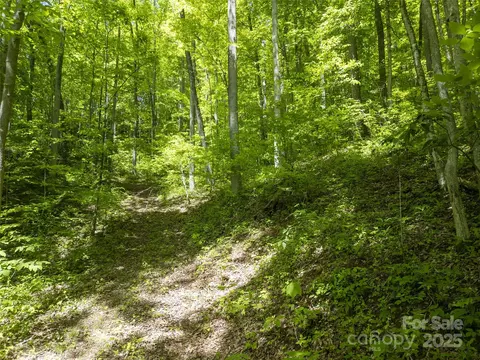 Top Drop Lane, Sylva, NC 28779 photo 14