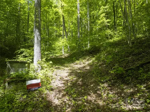 Top Drop Lane, Sylva, NC 28779 photo 13