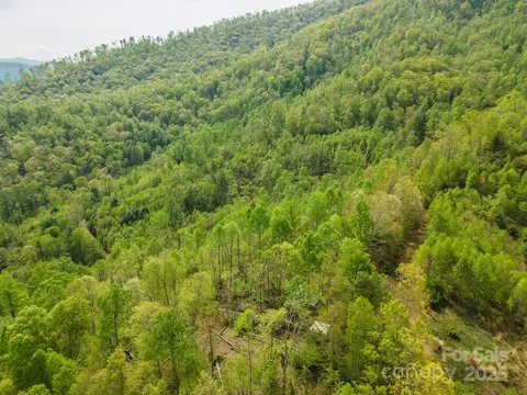 177 Black Mountain Vw, Spruce Pine, NC 28777 photo 28