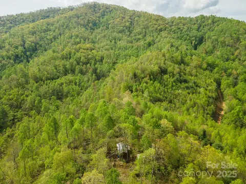 177 Black Mountain Vw, Spruce Pine, NC 28777 photo 29