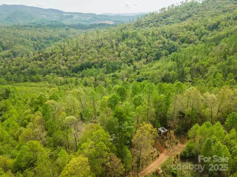 177 Black Mountain Vw, Spruce Pine, NC 28777 photo 25