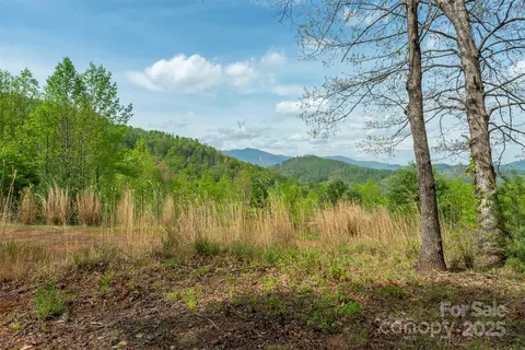 177 Black Mountain Vw, Spruce Pine, NC 28777 photo 6