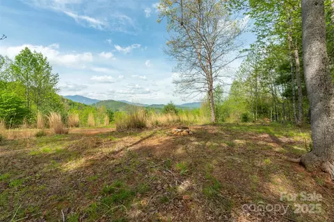 177 Black Mountain Vw, Spruce Pine, NC 28777 photo 5