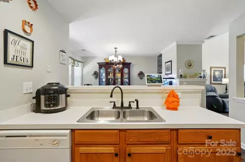 7671 Bluff Point Ln, Denver, NC 28037 photo 21