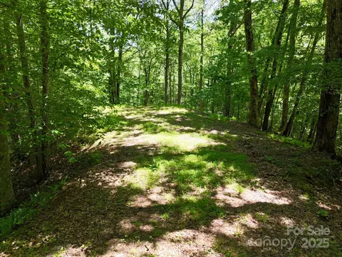 0 Elkhorn Ridge 46 Dr #46, Franklin, NC 28734