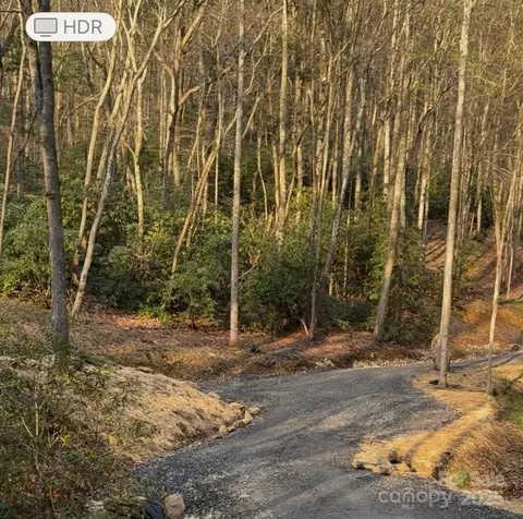 99999 Brooksong Dr, Asheville, NC 28805