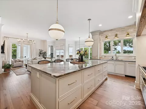 735 Davidson Run Ln, Davidson, NC 28036 photo 20