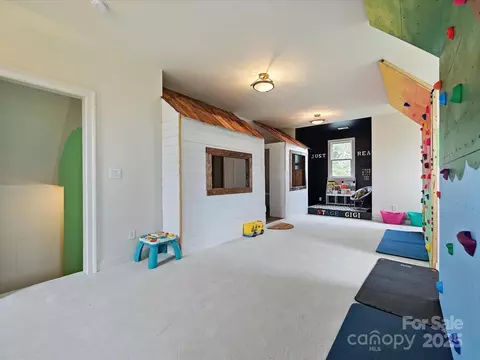 735 Davidson Run Ln, Davidson, NC 28036 photo 32