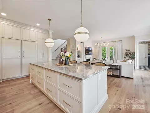 735 Davidson Run Ln, Davidson, NC 28036 photo 19