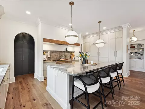 735 Davidson Run Ln, Davidson, NC 28036 photo 13