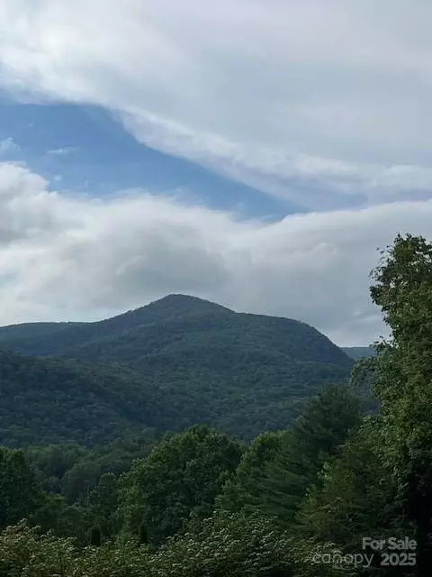 5 Old Cove Rd, Black Mountain, NC 28711